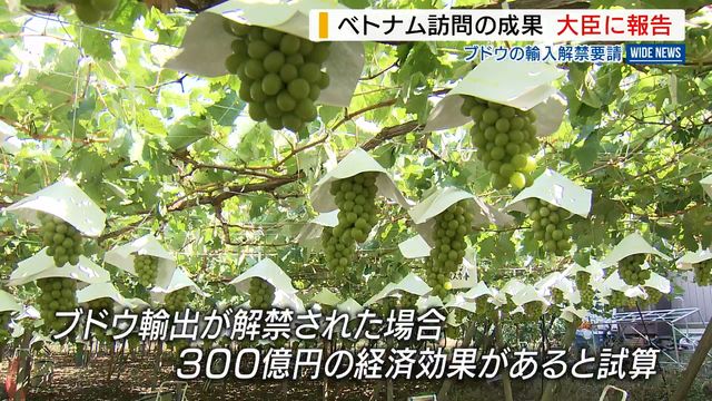 「早く参入して一定のシェアを」 ベトナム訪問でブドウの輸出解禁など要請 農水大臣に長崎知事が報告 山梨(YBS山梨放送) – Yahoo!ニュース 「早く参入して一定のシェアを」 ベトナム訪問でブドウの輸出解禁など要請 農水大臣に長崎知事が報告 山梨(YBS山梨放送) - Yahoo!ニュース