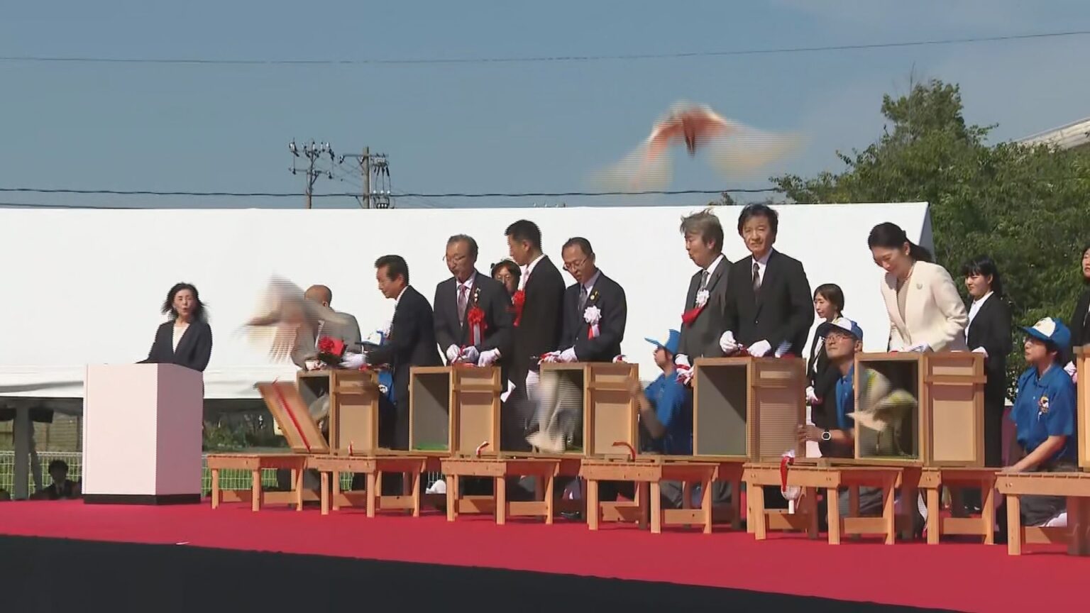 能登の空に「トキ」復活 石川・羽咋市で本州初の放鳥(MRO北陸放送) – Yahoo!ニュース 能登の空に「トキ」復活 石川・羽咋市で本州初の放鳥(MRO北陸放送) - Yahoo!ニュース