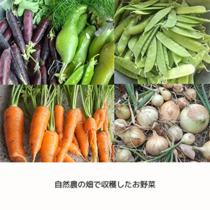 巡+マルシェ