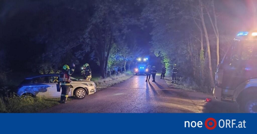 飲酒運転：FPÖ MPが運転免許証を剥奪される