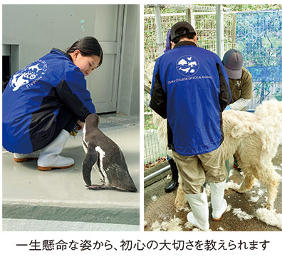 お城の動物園だより59 〜 インターンから学ぶ事 | ニュース和歌山