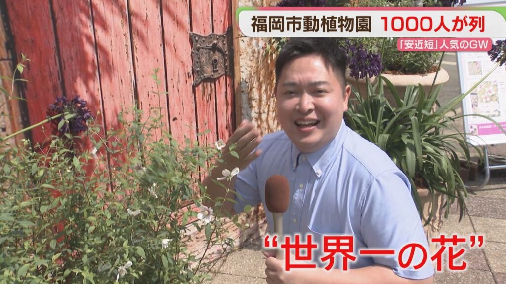 共有