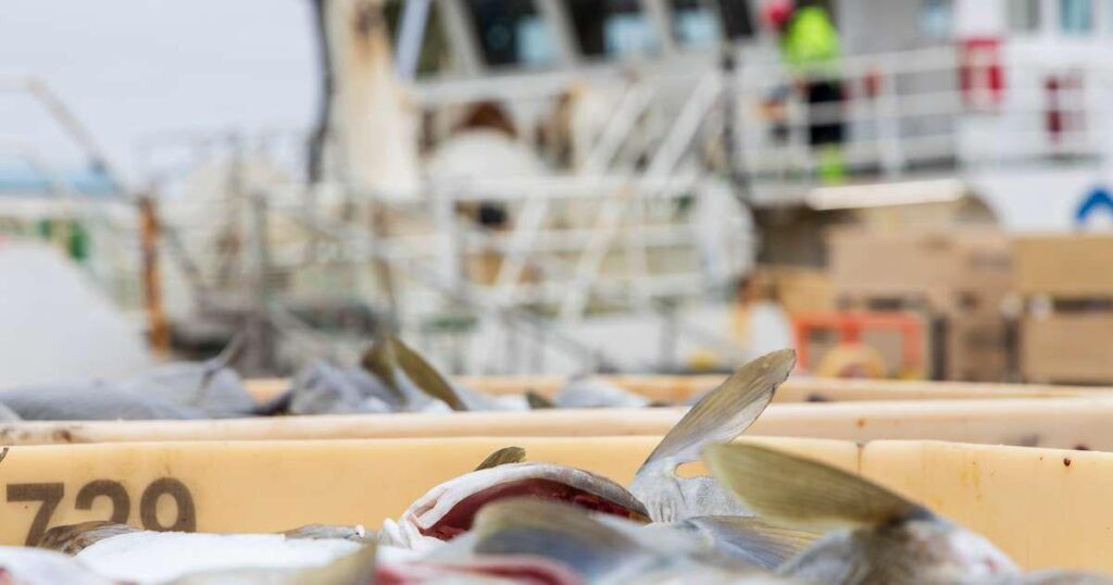 最大手の企業は他の企業に4000億ドルを持っていた 最大手の企業は他の企業に4000億ドルを持っていた