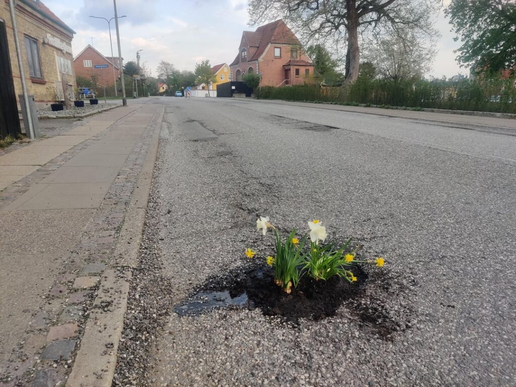 オールボー市は道路の穴を修復したくないため、現在、住民自らが行動を起こしています 🌾