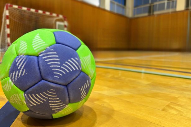 テラス、三重に競り勝つ 31―30 ハンド、リーグH女子