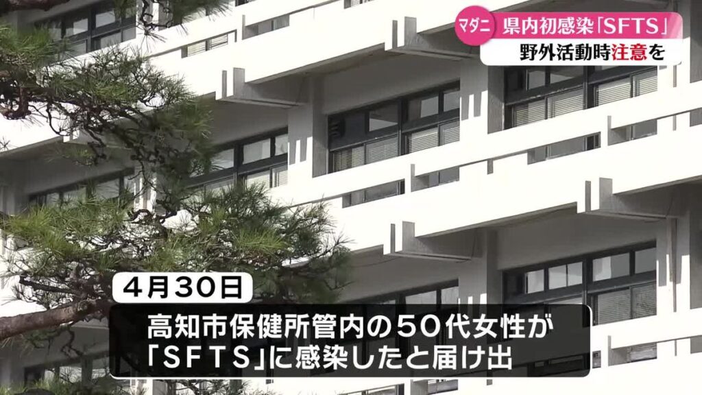 共有