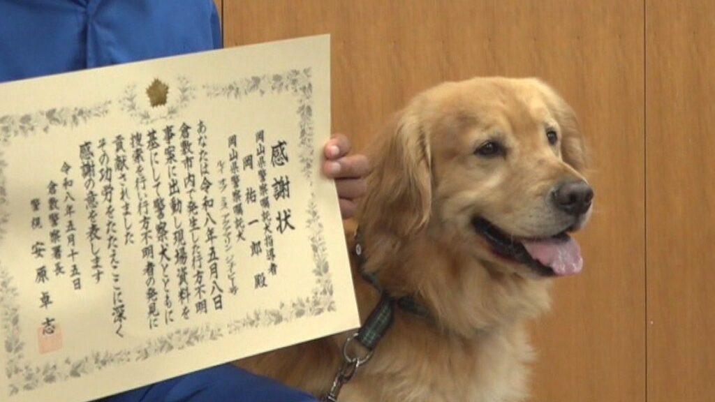 嘱託警察犬のルイくんがお手柄!行方不明の90代女性を発見 岡山・倉敷市 | KSBニュース | KSB瀬戸内海放送 嘱託警察犬のルイくんがお手柄!行方不明の90代女性を発見 岡山・倉敷市 | KSBニュース | KSB瀬戸内海放送