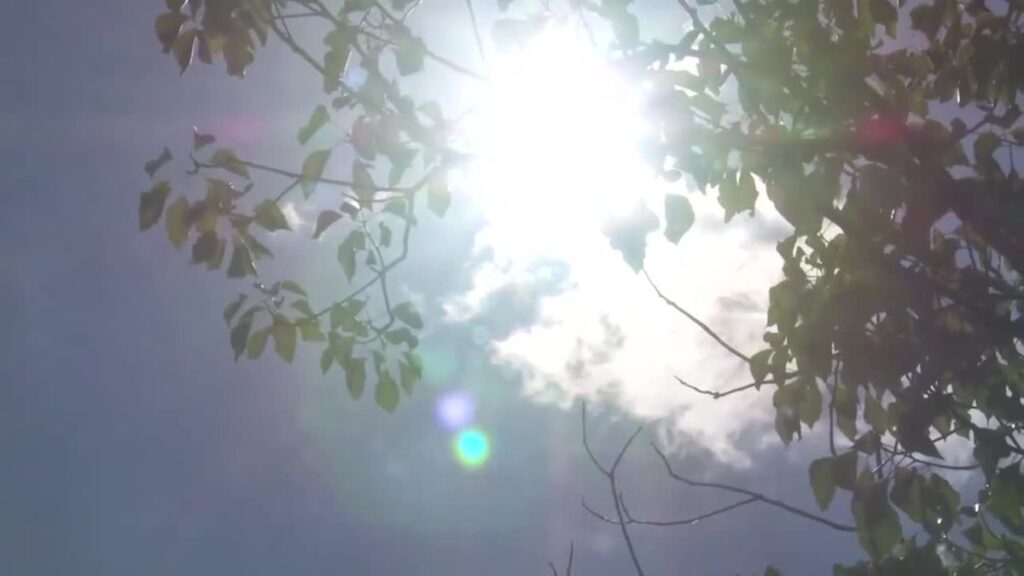 《高知市は5月の観測史上最高の暑さ》高知市で32.9℃など県内8地点で真夏日【高知】(2026年5月29日掲載)|RKC NEWS NNN 共有