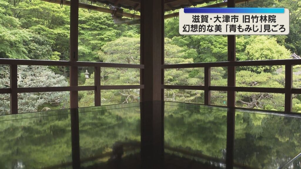 共有