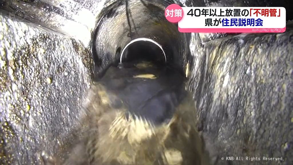 共有