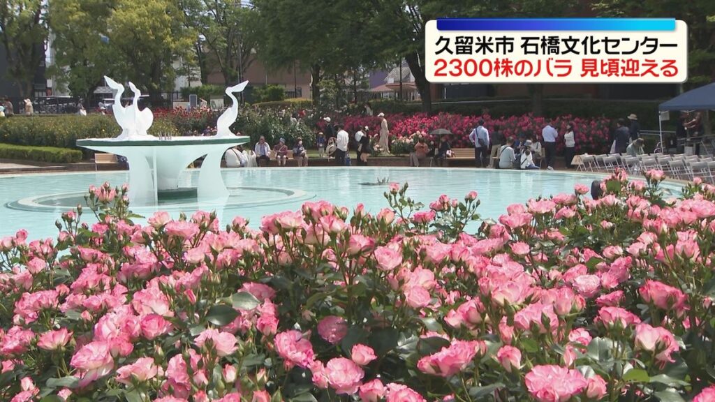 共有