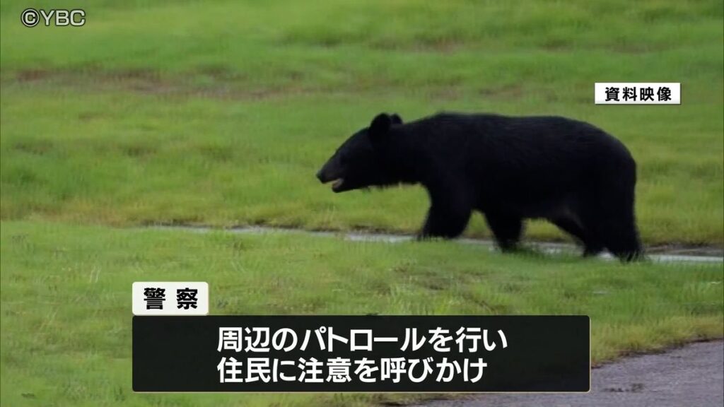 共有