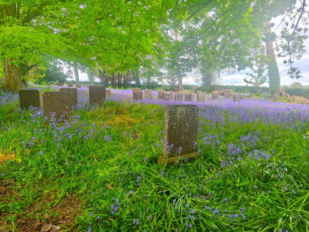 ケア：クエーカー教徒の墓地と古代の森