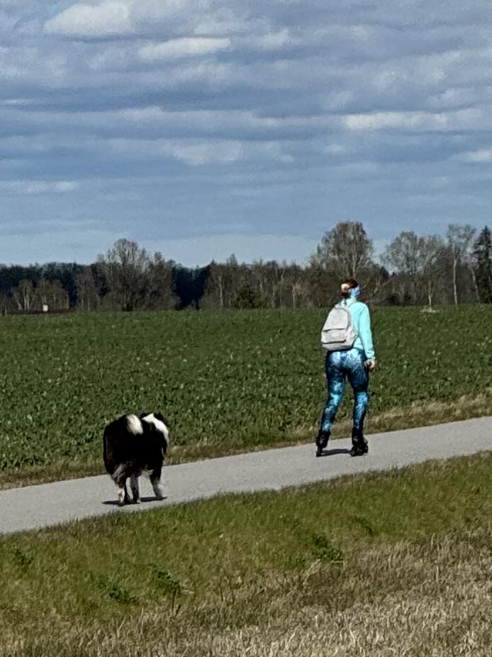 なぜこのような犬の飼い主が多いのでしょうか？