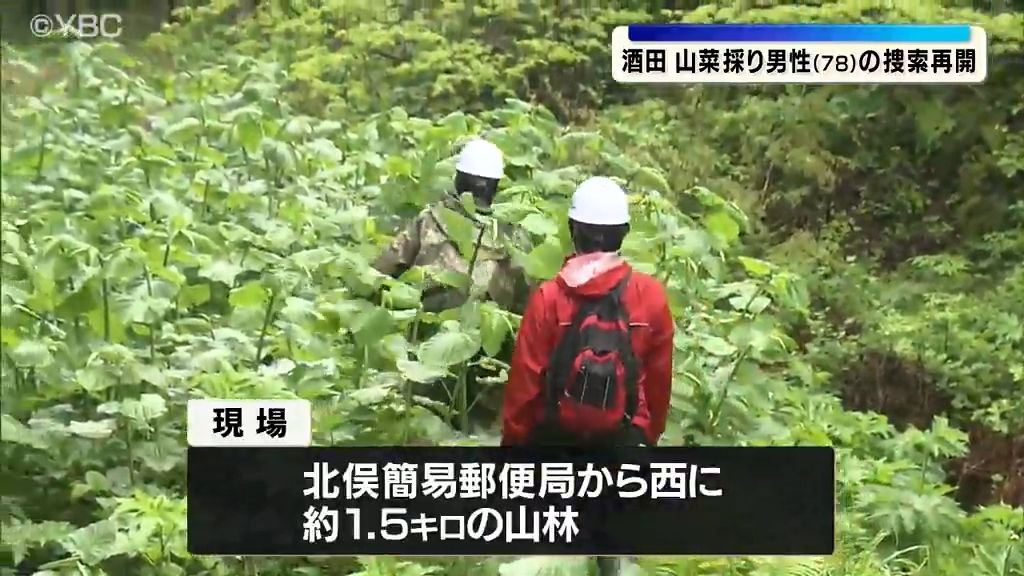 共有