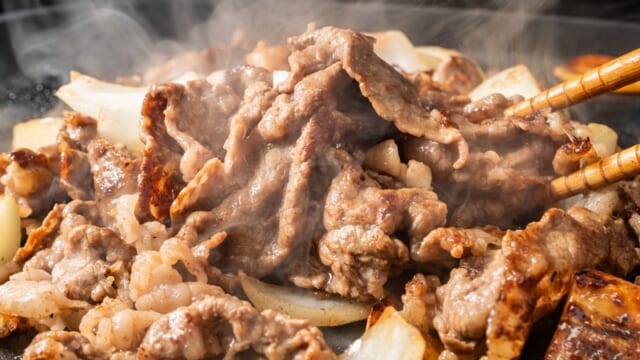 【全肉祭 in 静岡】あらゆる肉グルメの祭典！縁日や観覧無料のステージもあり | TABIZINE～人生に旅心を～