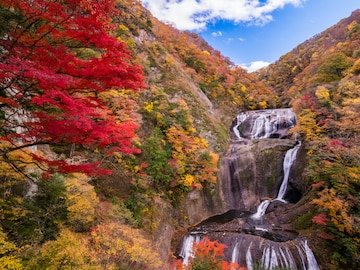 【関東】好き&行ってみたい「茨城県の絶景スポット」ランキング! 2位は「袋田の滝」、1位は?