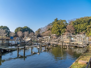 【千葉県】入園無料! 日本最大級のアスレチック、飛行機が見える公園まで。休日に行きたい公園3選
