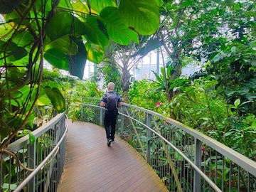 【東京都】大人500円以下、子どもは無料も！ 植物の温室や美しい花畑……都内で行きたい公園3選