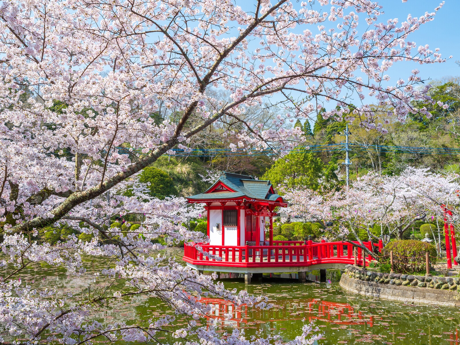 茂原公園