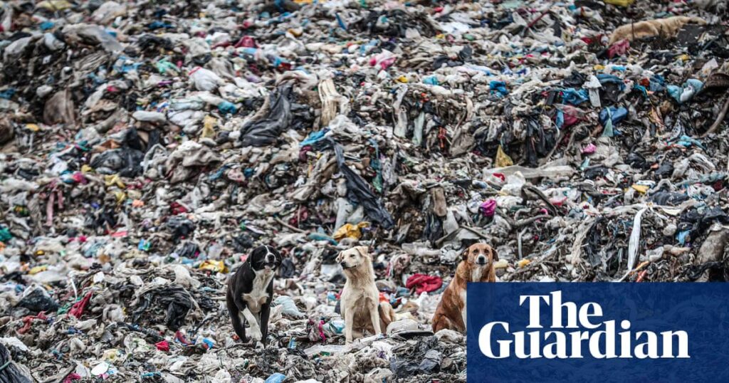 ドイツは2025年にプラスチック廃棄物の最大の輸出国となり、81万トンを海外に送り出したことが分析で判明
