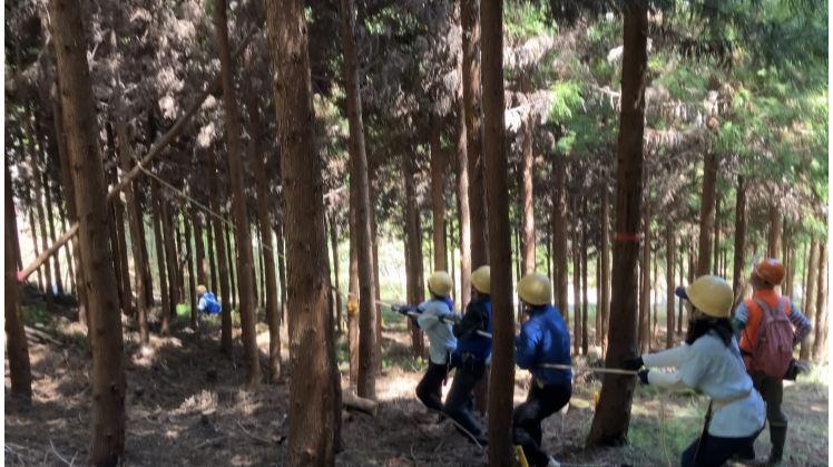 神奈川県と大阪府、長崎県の「チューリッヒの森」にて合計75名による森林ボランティア活動を実施 | チューリッヒ保険会社 神奈川県と大阪府、長崎県の「チューリッヒの森」にて合計75名による森林ボランティア活動を実施 | チューリッヒ保険会社
