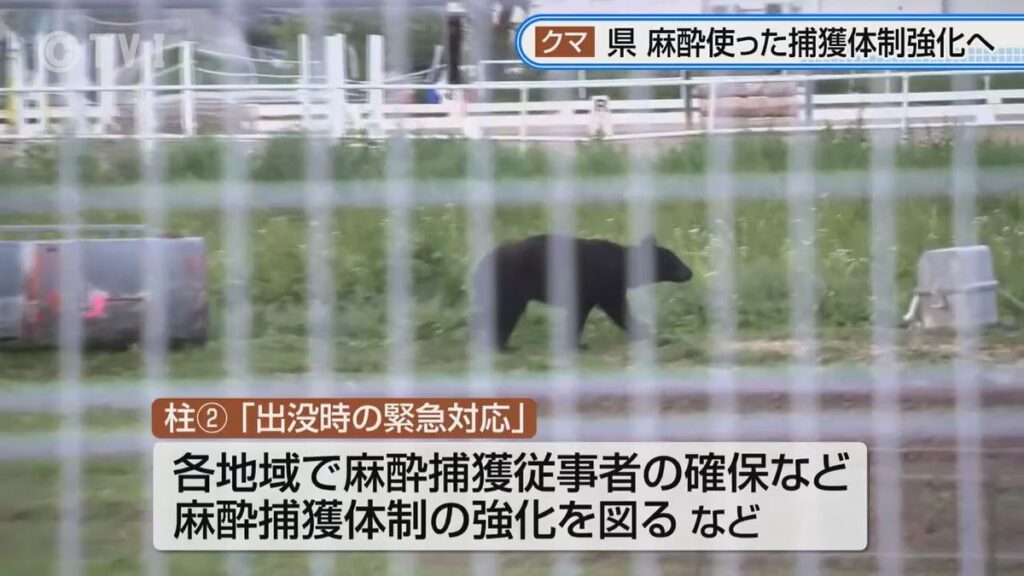 【県がクマ対策】麻酔による捕獲体制強化 河川の樹木伐採とやぶの刈り払いも(2026年5月26日掲載)|TVI NEWS NNN 共有