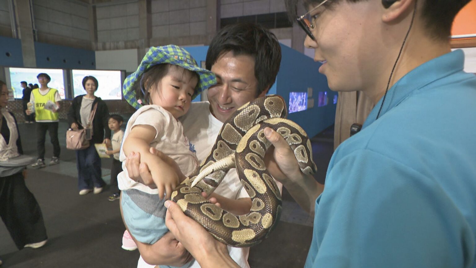 ワラビーやウミガメなど陸と水中の生き物を間近に！岡山市でイベント大にぎわい | KSBニュース | KSB瀬戸内海放送