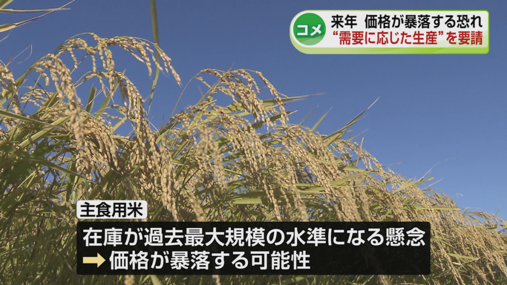 主食用米の在庫過去最大規模か 2027年にコメの価格が暴落するおそれ JAが要請「需要に応じた生産を」《新潟》(2026年5月15日掲載)|TeNY NEWS NNN 共有