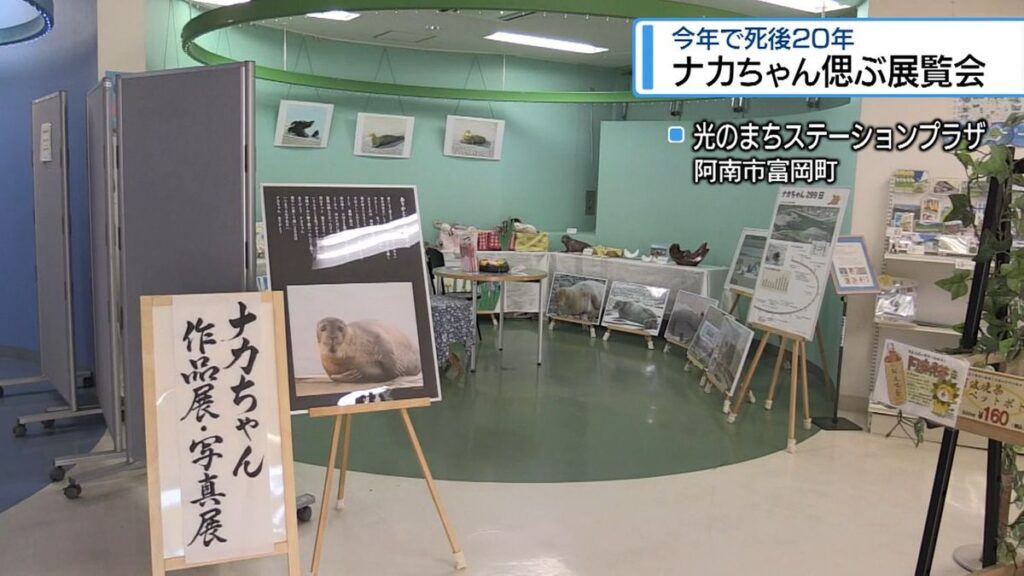 「ナカちゃん」を偲ぶ 阿南市で当時の写真など展示【徳島】(2026年5月20日掲載)|JRT NEWS NNN 共有
