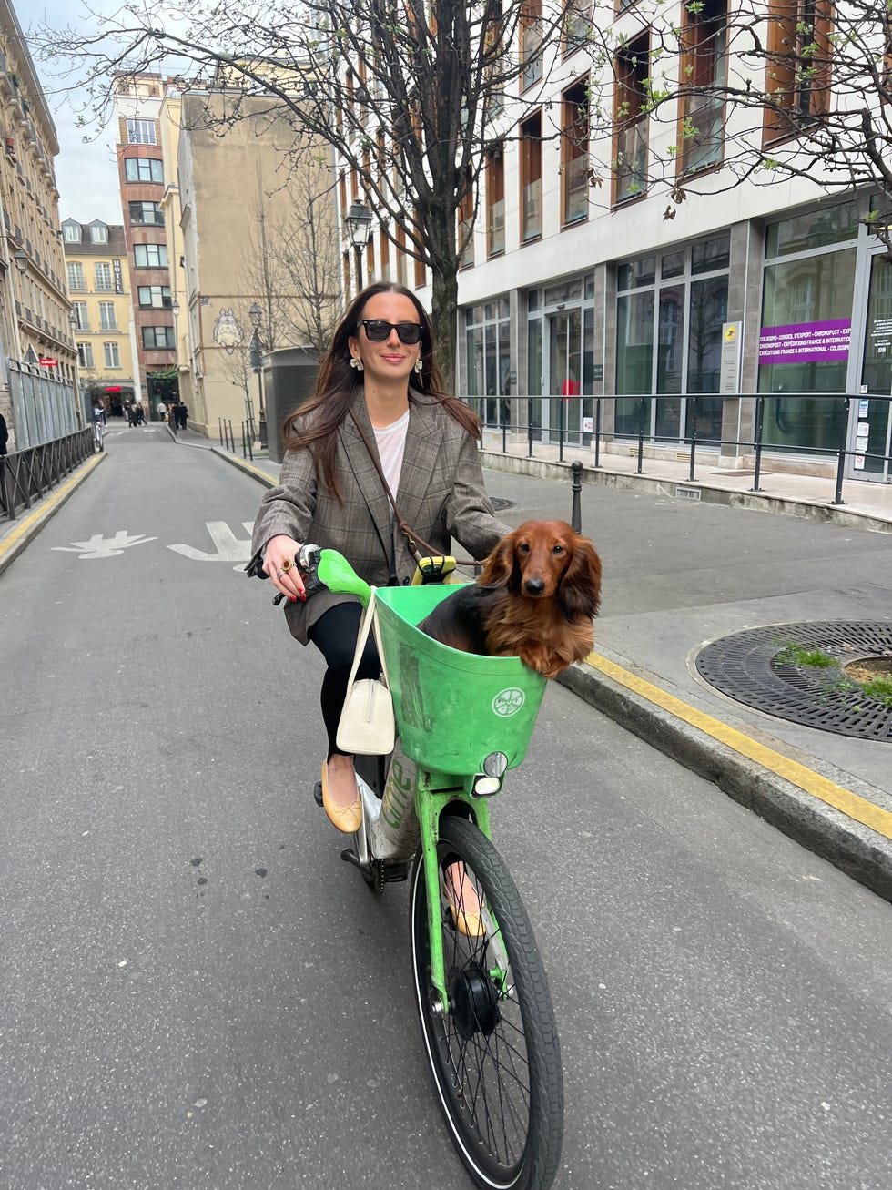 person riding a bicycle with a dog in the front basket