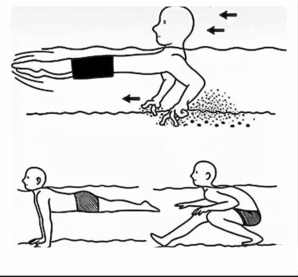 プールのおもひで