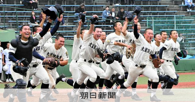 文星芸大付　「劇的」10年ぶり頂点　春季栃木県高校野球大会 - 高校野球 [栃木県]：朝日新聞