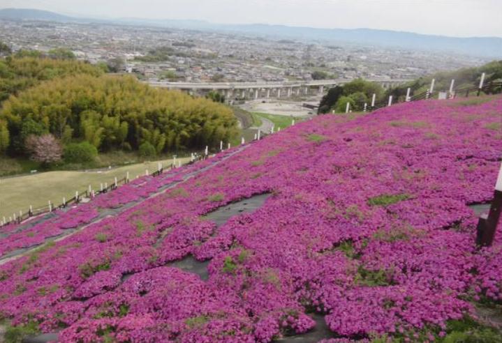 サムネイル:ひきこもり支援強化が急務