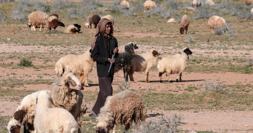 中東戦争：羊飼いがイラクにあるイスラエルの秘密基地を発見