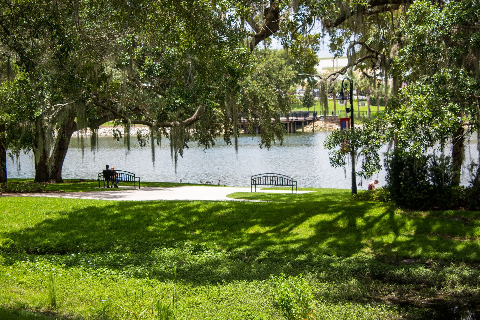 View over green meadow wetlands with large tree shadows and two benches overlooking a lake. One person is occupying one...