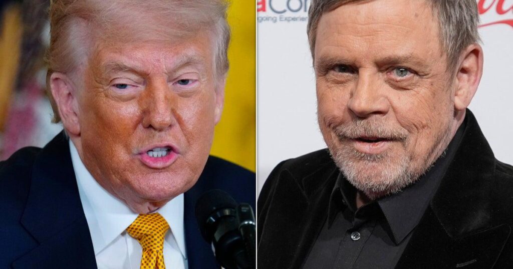 ホワイトハウス、トランプ大統領の墓写真についてマーク・ハミルを「1人の病人」と非難
