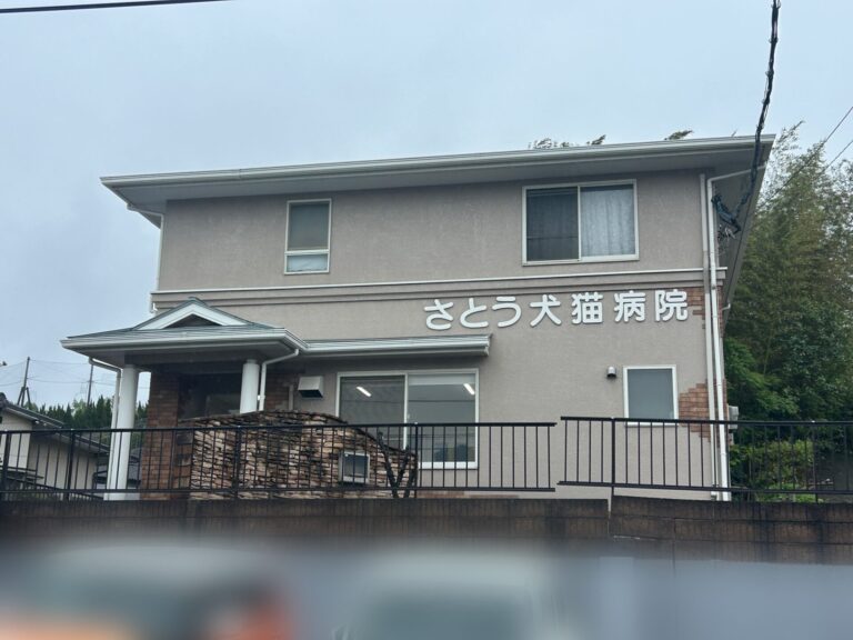 大分市庄境の『さとう犬猫病院』が閉院したそうです│LOG OITA