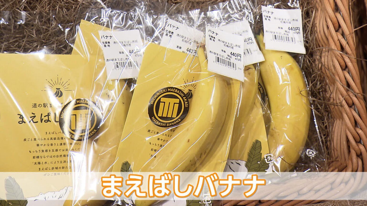 1本440円“まえばしバナナ”　わずか1時間で完売　99.9％輸入でもあえて国産　“暑く”ても育つ新名物を　群馬（FNNプライムオンライン（フジテレビ系）） - Yahoo!ニュース