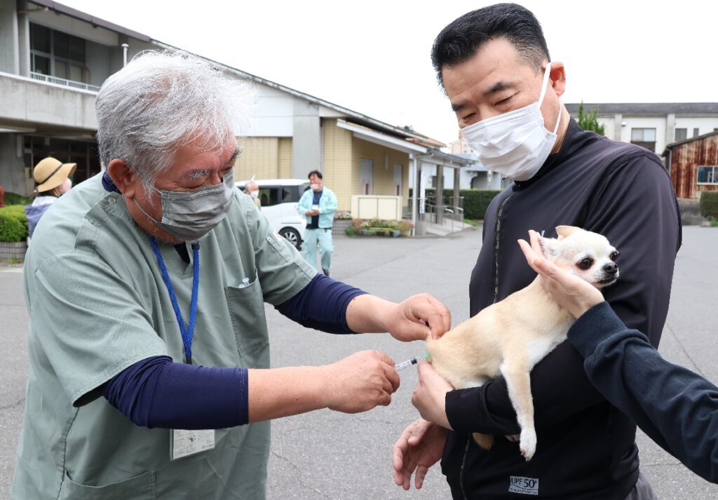 大分県内、狂犬病ワクチン接種率が６割台と低調　年１回義務、室内飼いでも感染のリスク - 大分のニュースなら 大分合同新聞プレミアムオンライン Gate