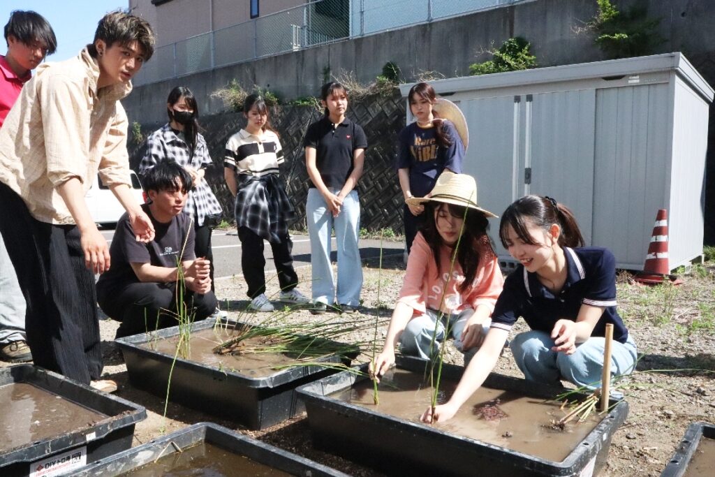 【動画】大分市で発見の自生七島イを株分け、学生らが栽培開始 かつて大分を支えた産業の価値見つめ直す – 大分のニュースなら 大分合同新聞プレミアムオンライン Gate 【動画】大分市で発見の自生七島イを株分け、学生らが栽培開始 かつて大分を支えた産業の価値見つめ直す - 大分のニュースなら 大分合同新聞プレミアムオンライン Gate