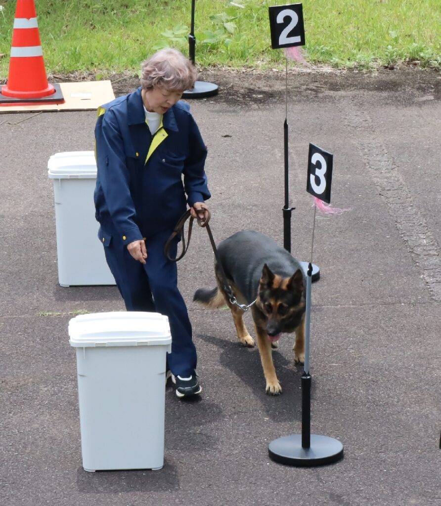 大分市で嘱託警察犬競技会、計6匹が訓練の成果競う 「爆発物捜索」など3種目実施 – 大分のニュースなら 大分合同新聞プレミアムオンライン Gate 大分市で嘱託警察犬競技会、計6匹が訓練の成果競う 「爆発物捜索」など3種目実施 - 大分のニュースなら 大分合同新聞プレミアムオンライン Gate