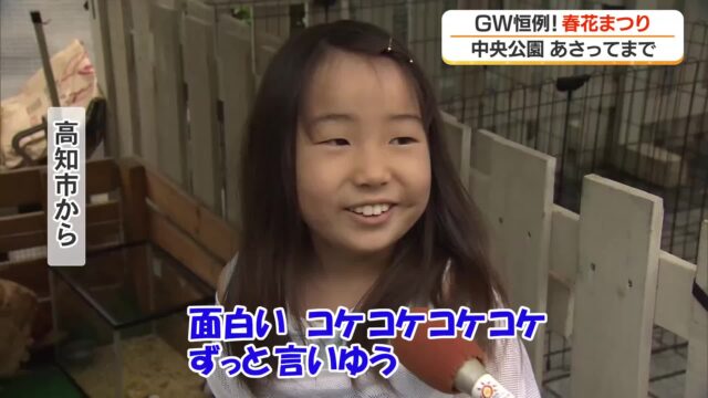 GW恒例「こうち春花まつり」高知市で開幕　4万鉢の花彩る　4日はアナウンサーのトークショーも « 高知のニュース - 高知さんさんテレビ