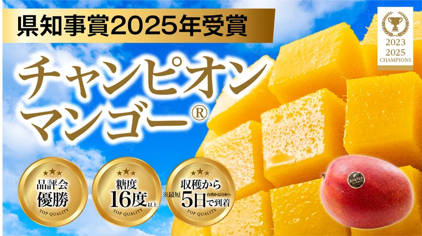 チャンピオンマンゴータイトル画像