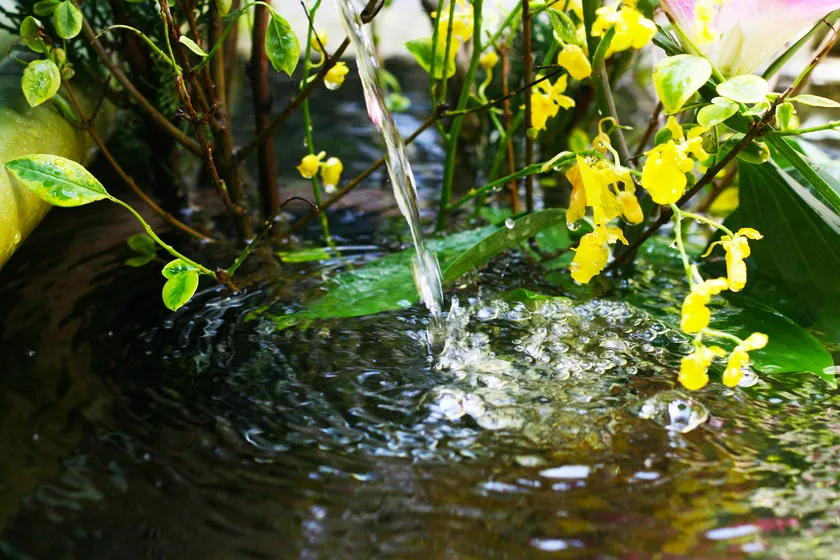 京都の食文化を支えてきた錦の湧き水