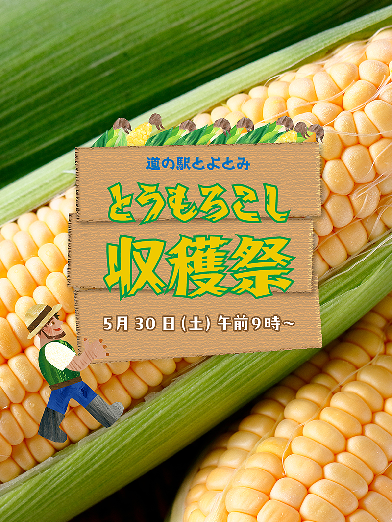 とうもろこし収穫祭