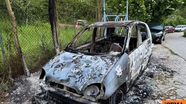 彼らはレスボス島で動物虐待事件を報告した市民の車を燃やした