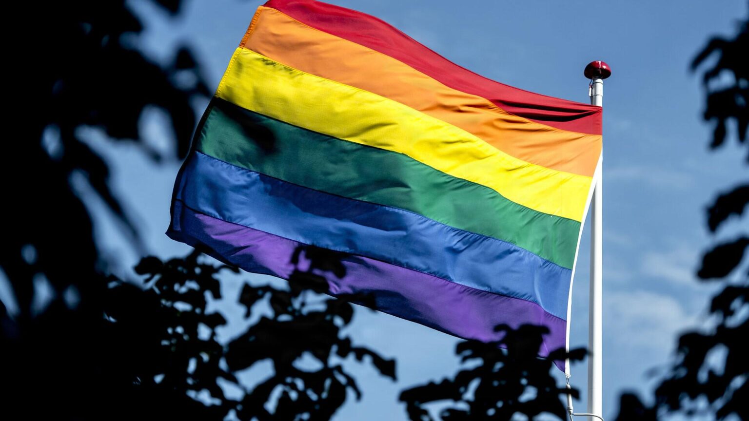 市庁舎に掲げられた虹色の旗が水を分ける[DFer erklære pride en ødelæggende ideologi]