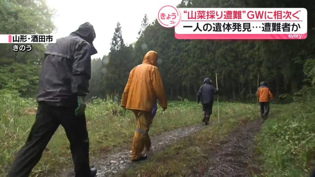 “山菜採り遭難”GWに相次ぐ 一人の遺体発見…遭難者か｜日テレNEWS NNN