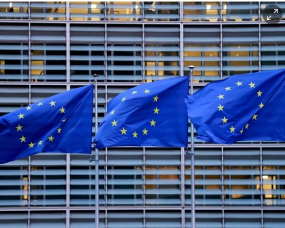 European Union pushes industry to seek suppliers beyond China European Union pushes industry to seek suppliers beyond China